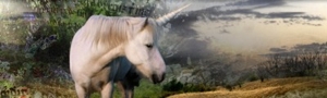 link bacchettemagiche.com
