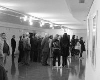 mostra di roberto amadi